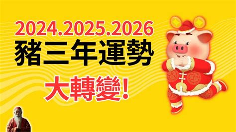 2024年生肖運程猪|【屬豬2024生肖運勢】暗湧頻生，運勢反覆｜屬豬運 